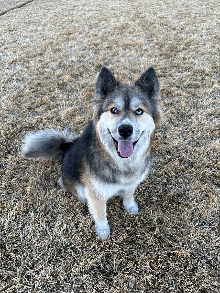 My sweet baby boy, Panko!