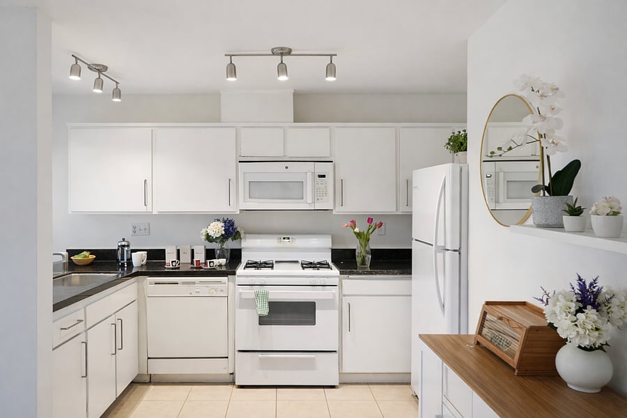 Newly Renovated Kitchen with Brand New Appliances