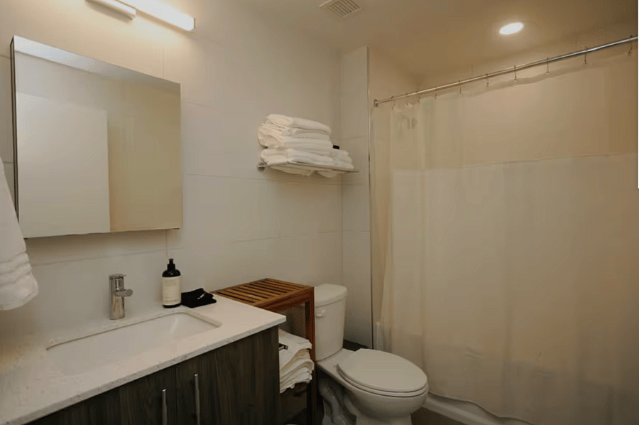 Bathroom in One Bedroom