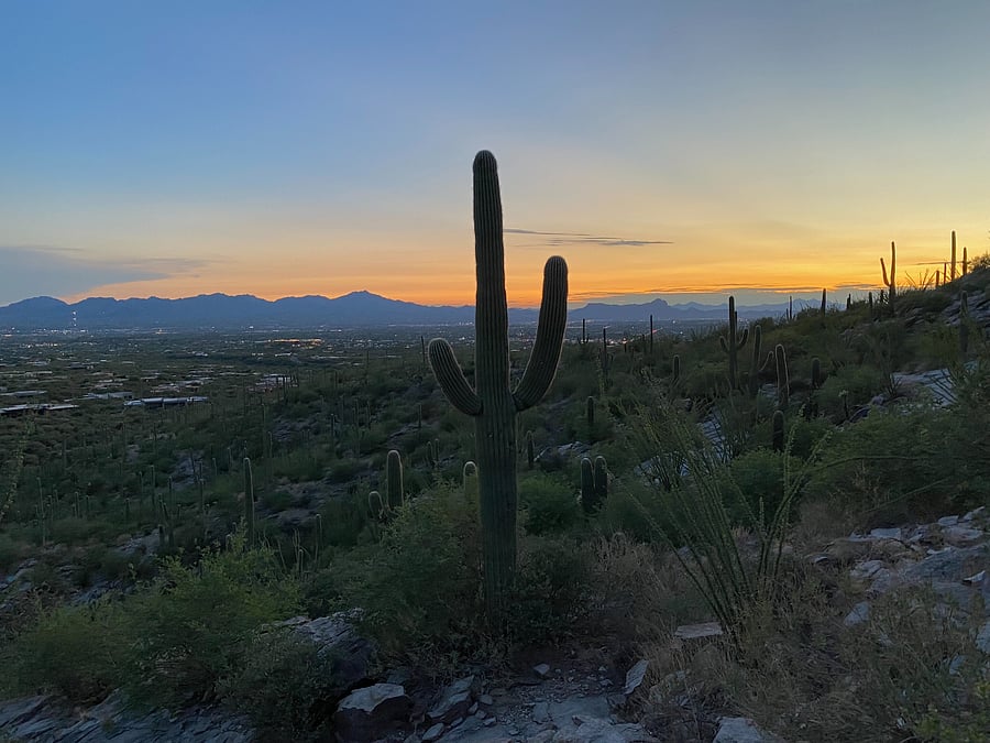 Nearby Hiking - Pima Canyon Trail - Watch the desert sky transform at sunset, just a 12 minute drive from the condo.