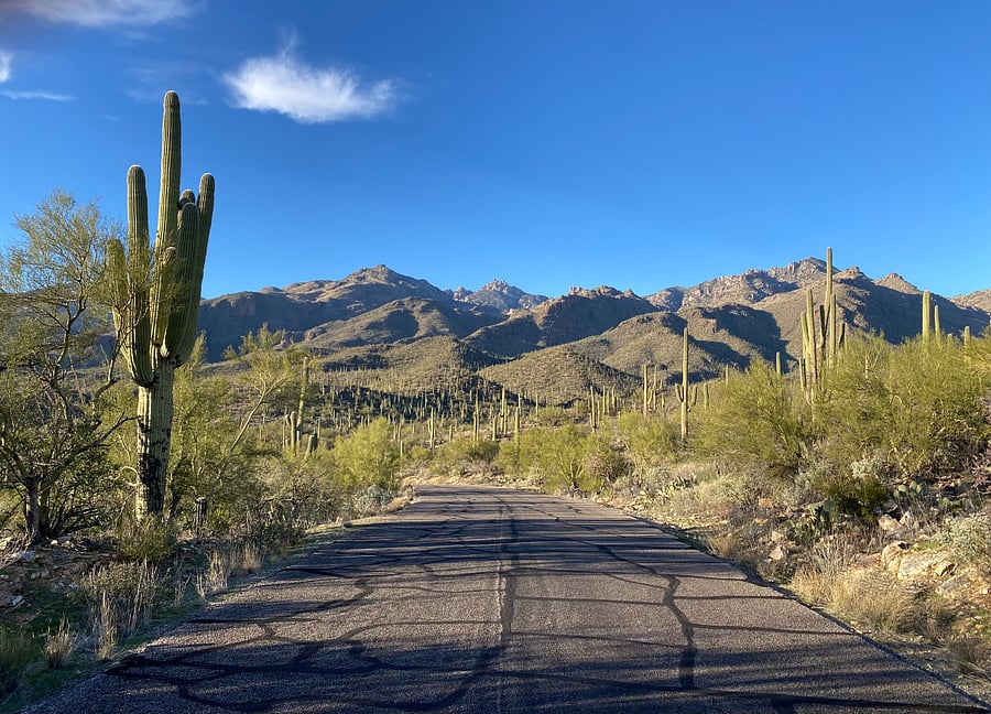 Nearby Hiking - Sabino Canyon Recreation Area - Wander through an incredible cactus-filled landscape unlike anywhere else, just a 15 minute drive from the condo.