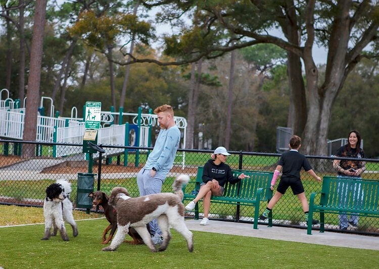 Walking Distance to Henry & Ola Dog Park