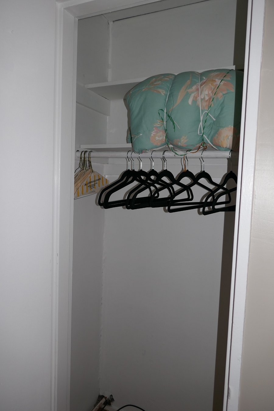 Extra blanket and hangers in bedroom closet