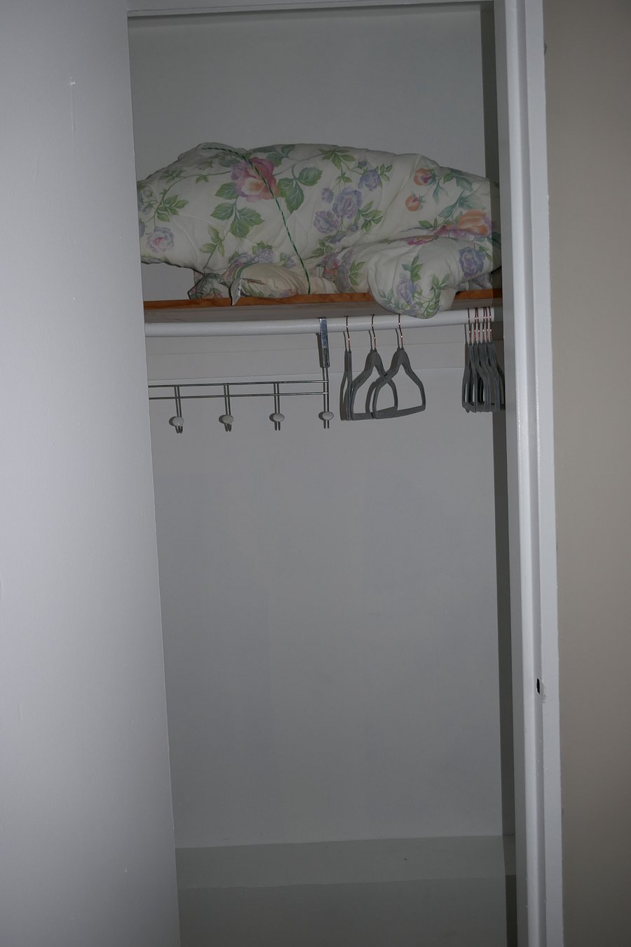 Extra blanket and hangers in bedroom closet