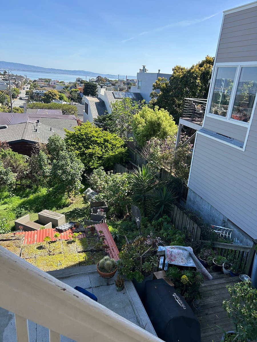 Our backyard