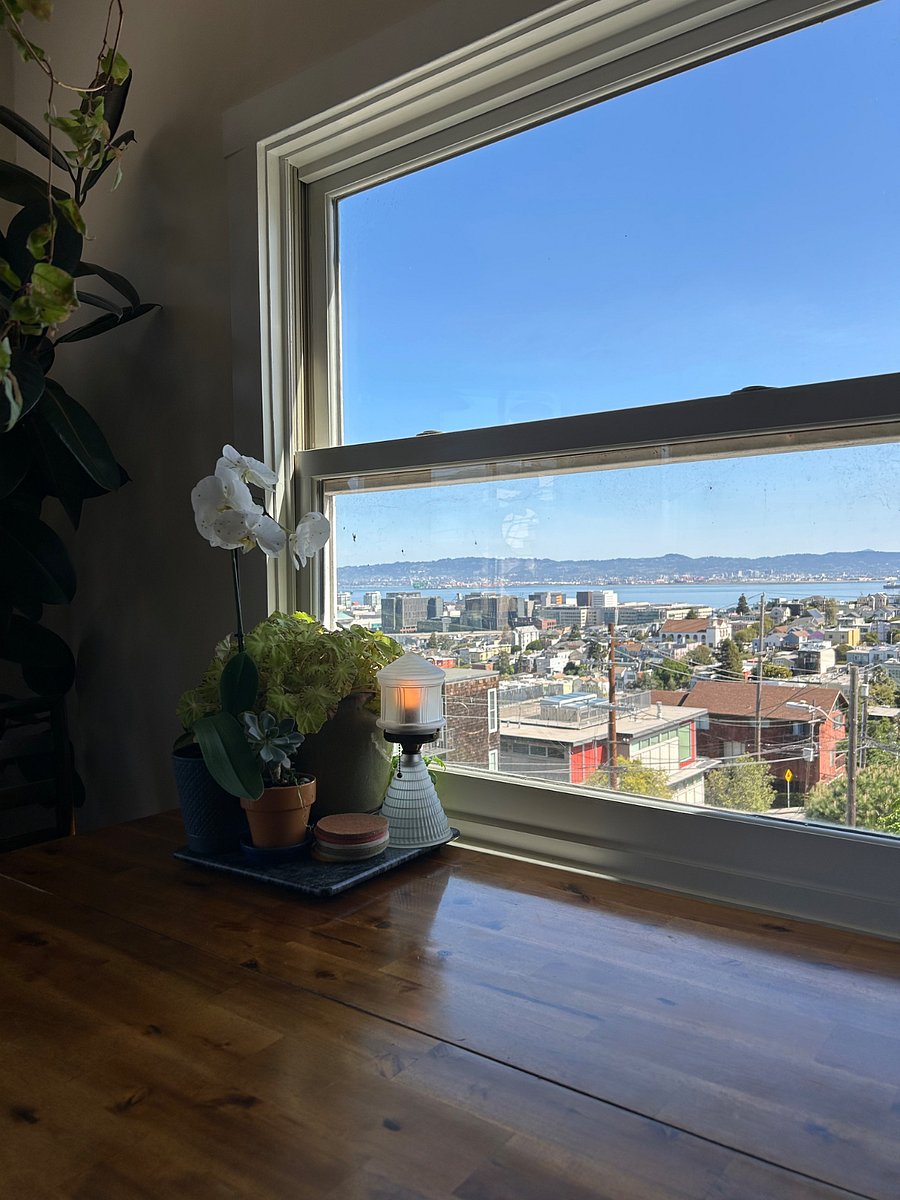 View from dining room table