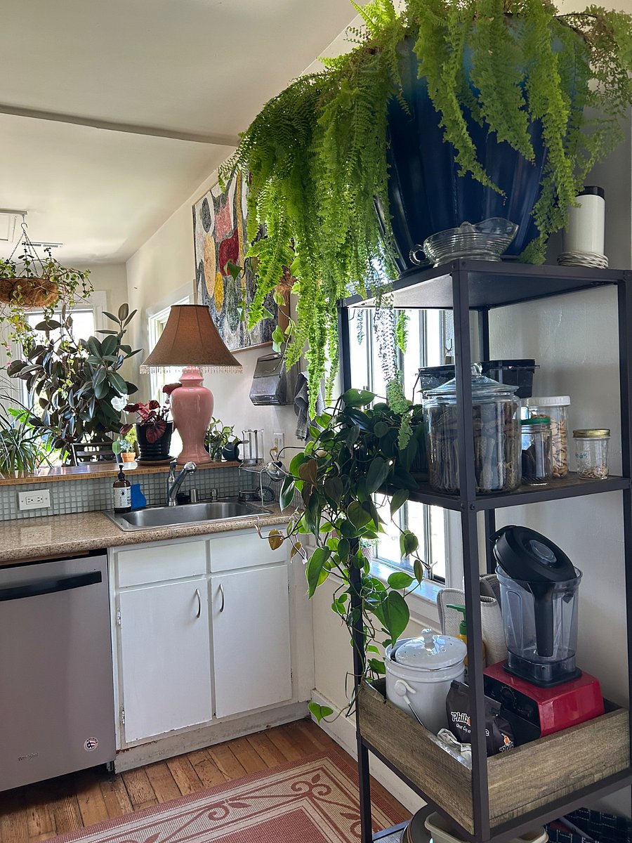 Kitchen window