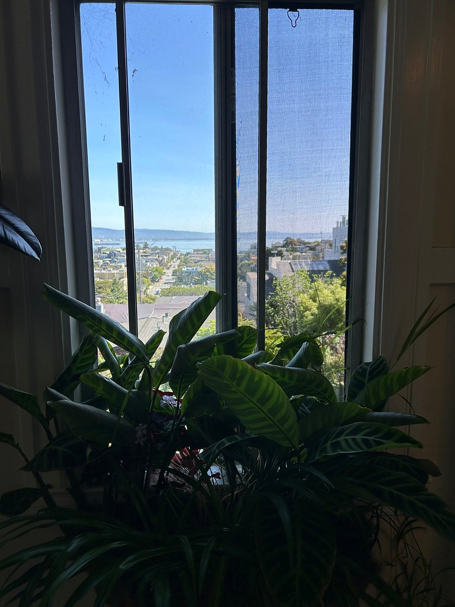 View from back hallway