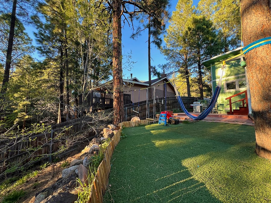 Backyard