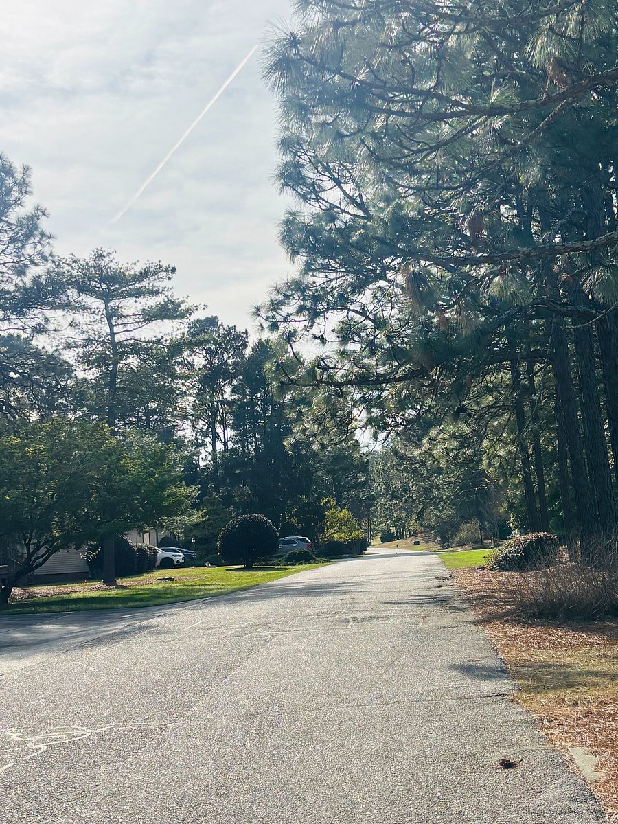 Our quiet street