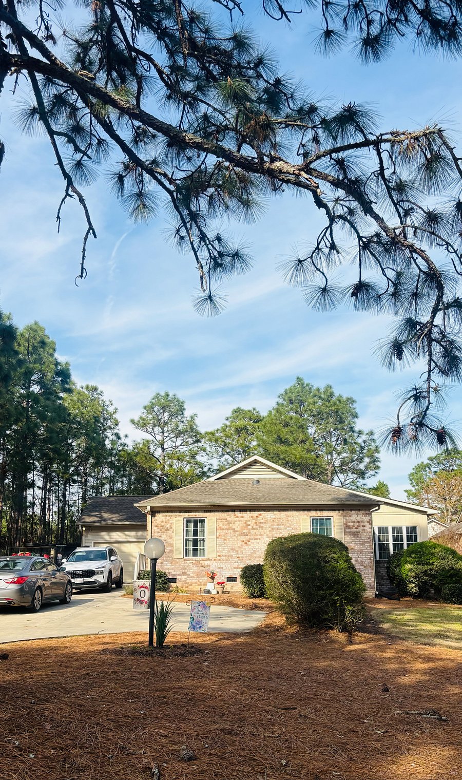 Street View of Porch & Pines