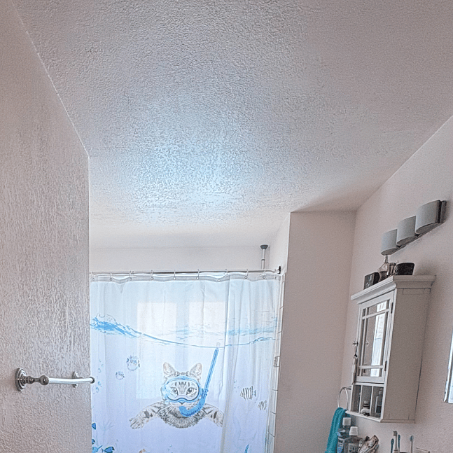 spacious and bright bathroom, new toilet, new shower head, new shower curtain, newly refinished tub for luxurious baths!