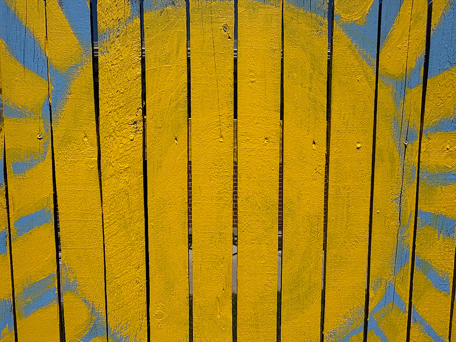 fun bright outdoor fence in backyard :)