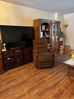Living Room - 65" Smart TV
