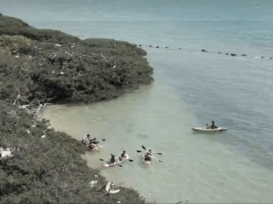 Paddleboard rental available!