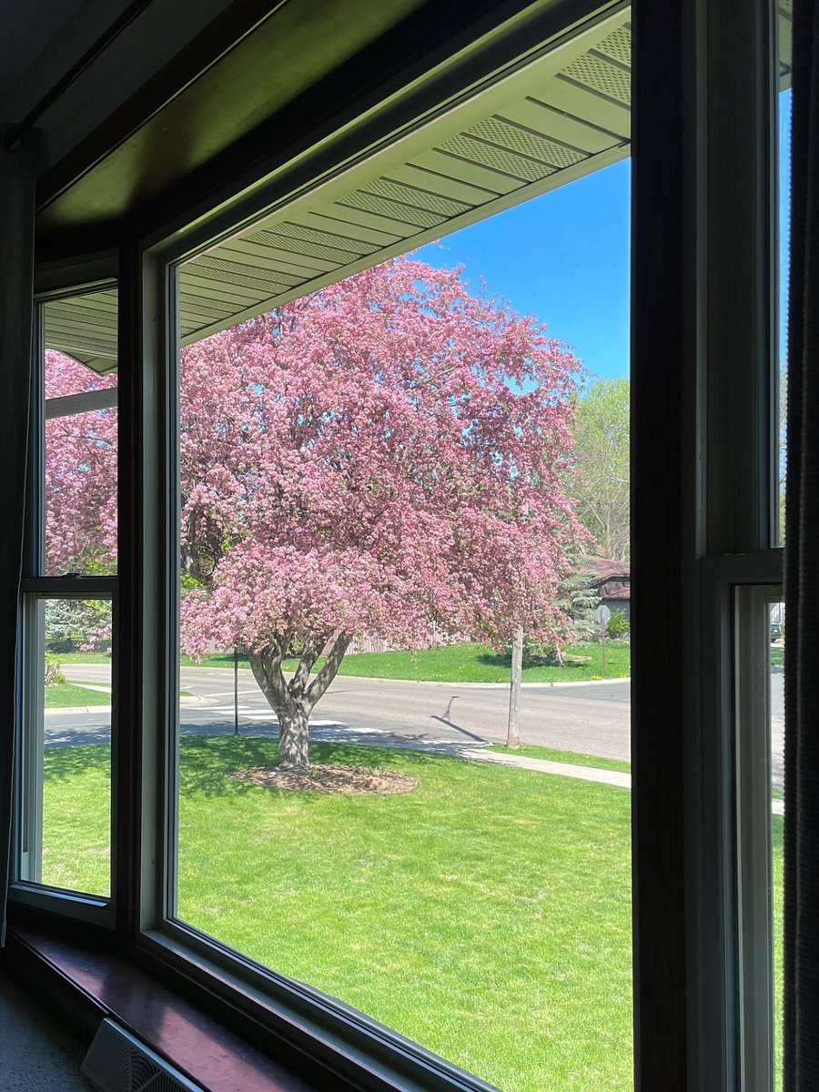 Expansive living room window provides amazing light throughout the day