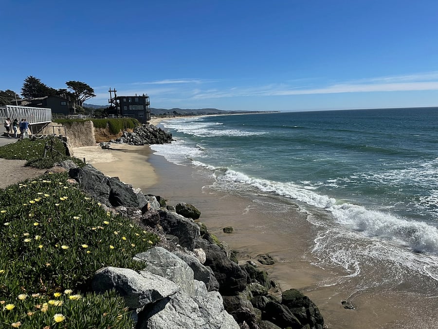Photo taken from the Half Moon Bay Coastal Trail, <100 yards away looking south towards over 8 miles of continuous walkable sandy HMB beaches and the Ritz Carlton.