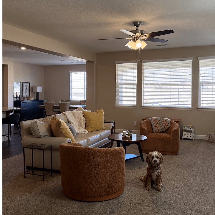 Living Room Area