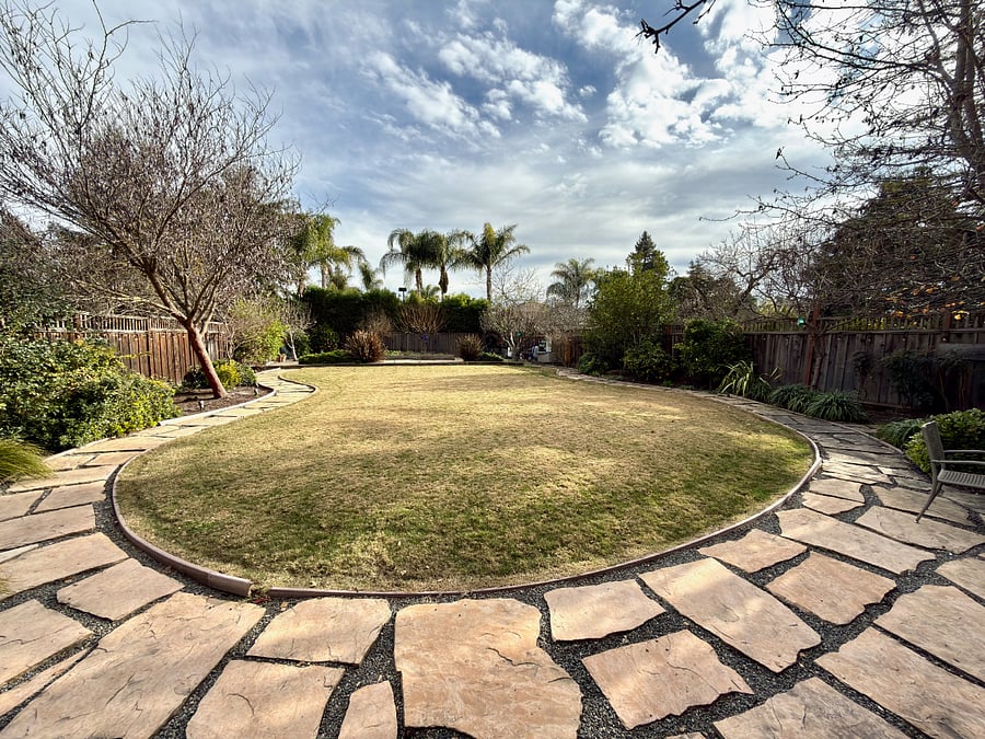 spacious backyard with raised vegetable garden