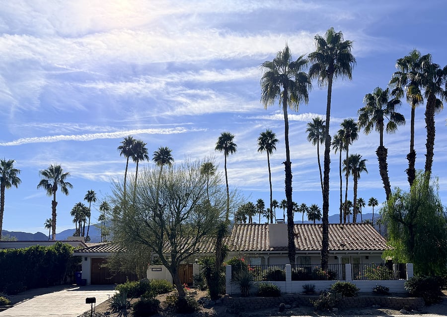 Charming curb appeal with mountain views and iconic palm trees in a peaceful neighborhood setting.