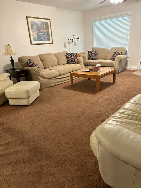 Second view of living room area.