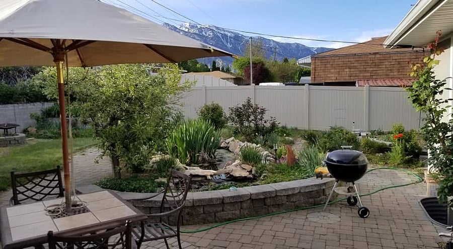 Back yard