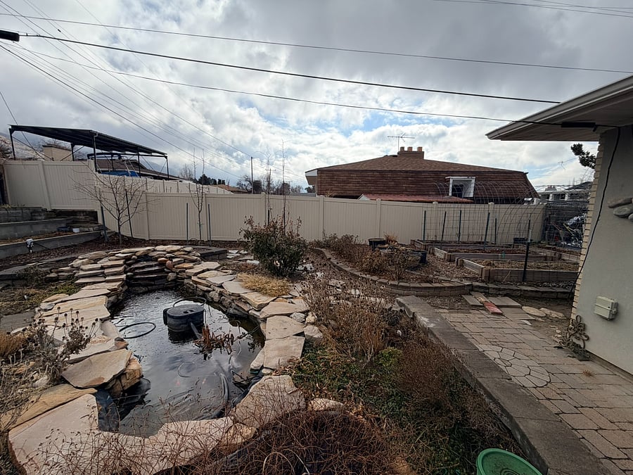 Fish pond in the back yard