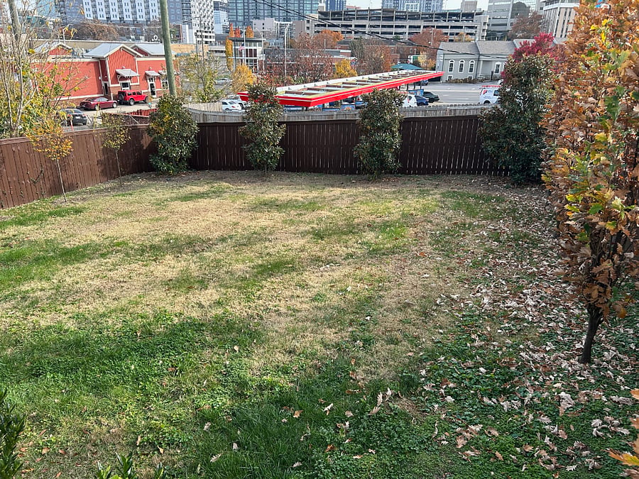 fenced back yard