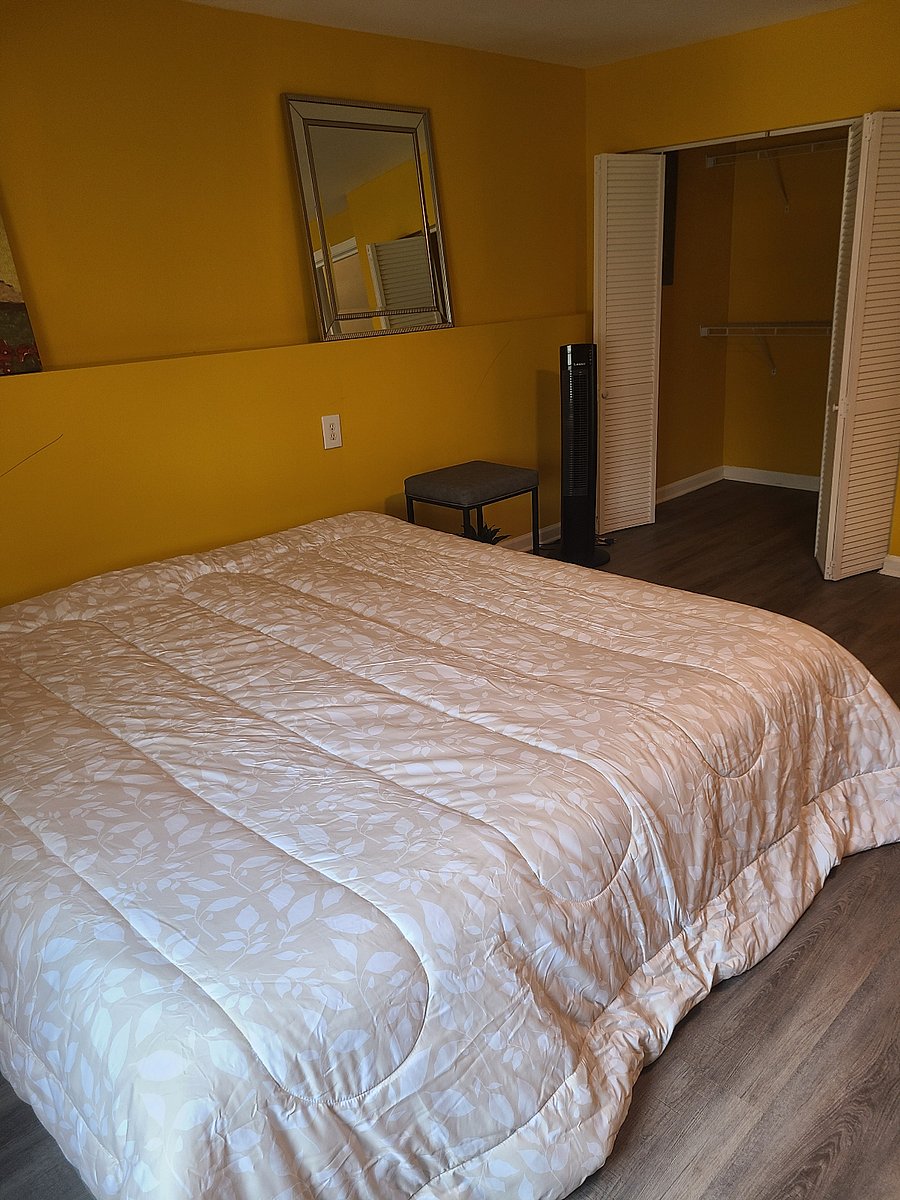 Furnished Finder property 977268_1 photo 3