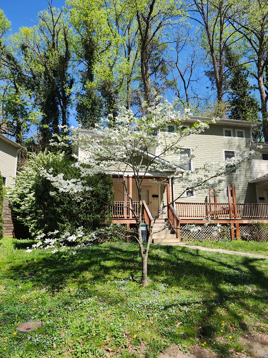 Furnished Finder property 977500_1 photo 8
