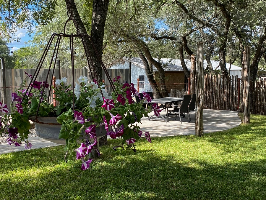 The trees make for a beautiful outdoor setting any time of the day.