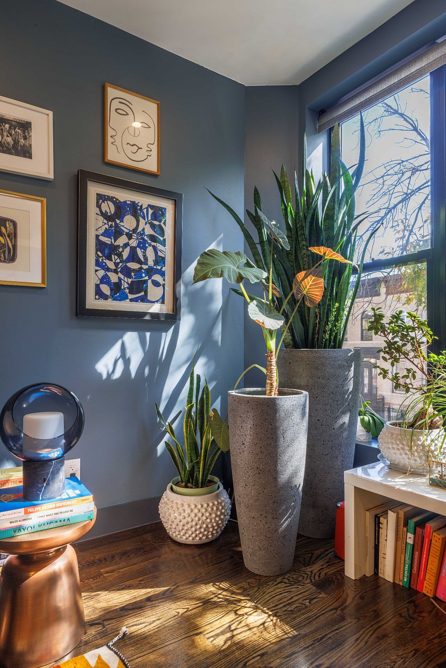 Furnished Finder property 977549_1 photo 5