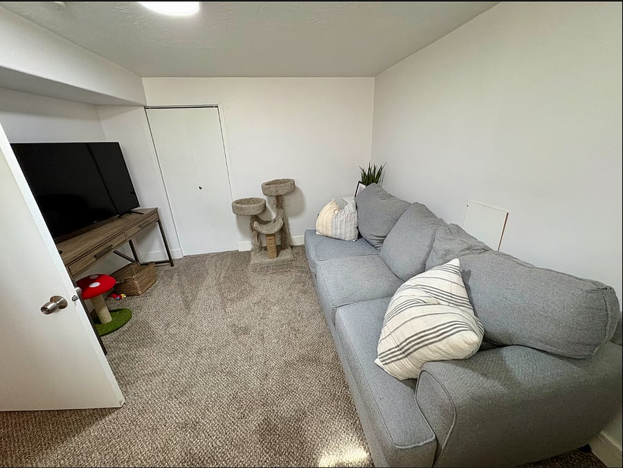 Private den with sofa and Roku Smart TV. You'll just need to share it with two cats.