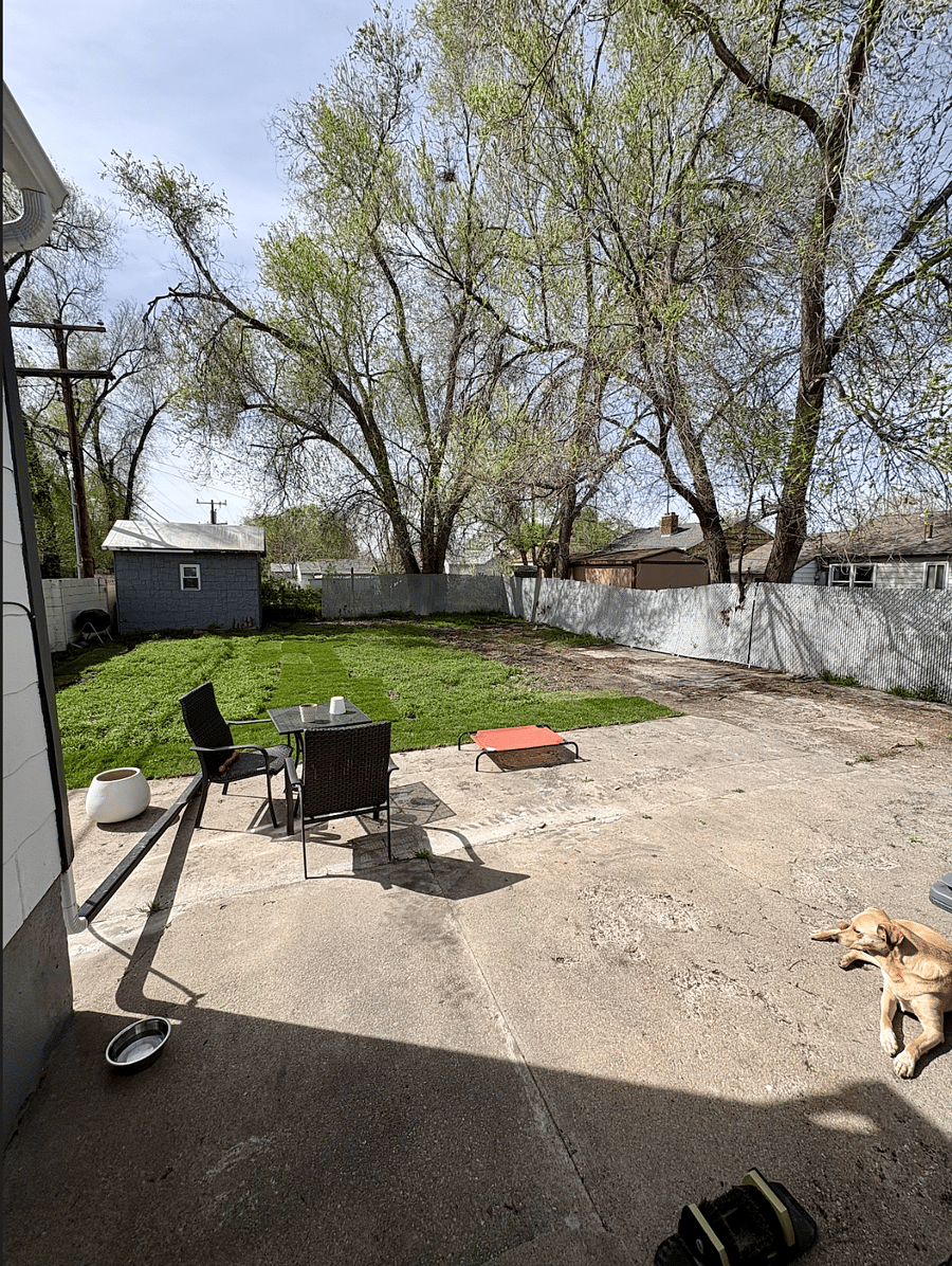 Shared backyard and patio area. Notice Mo the Dog lounging.