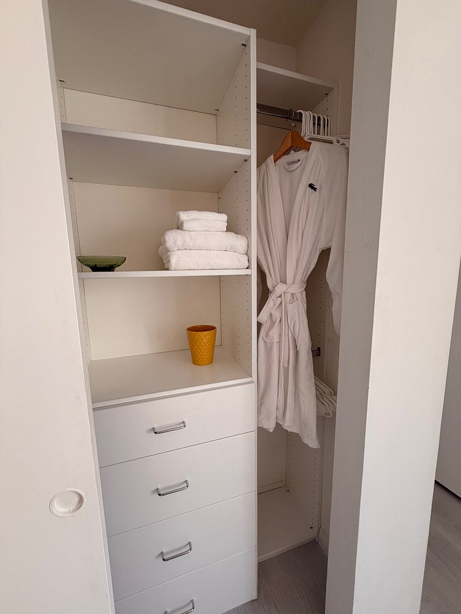 Guest Bedroom closet