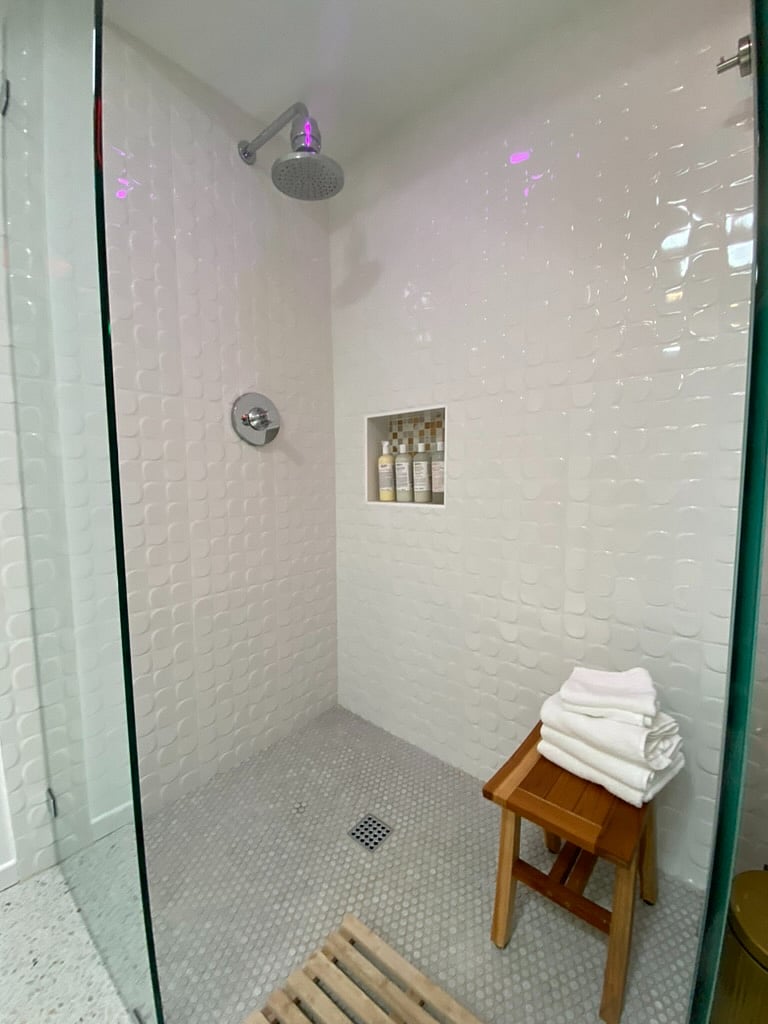 Primary Shower