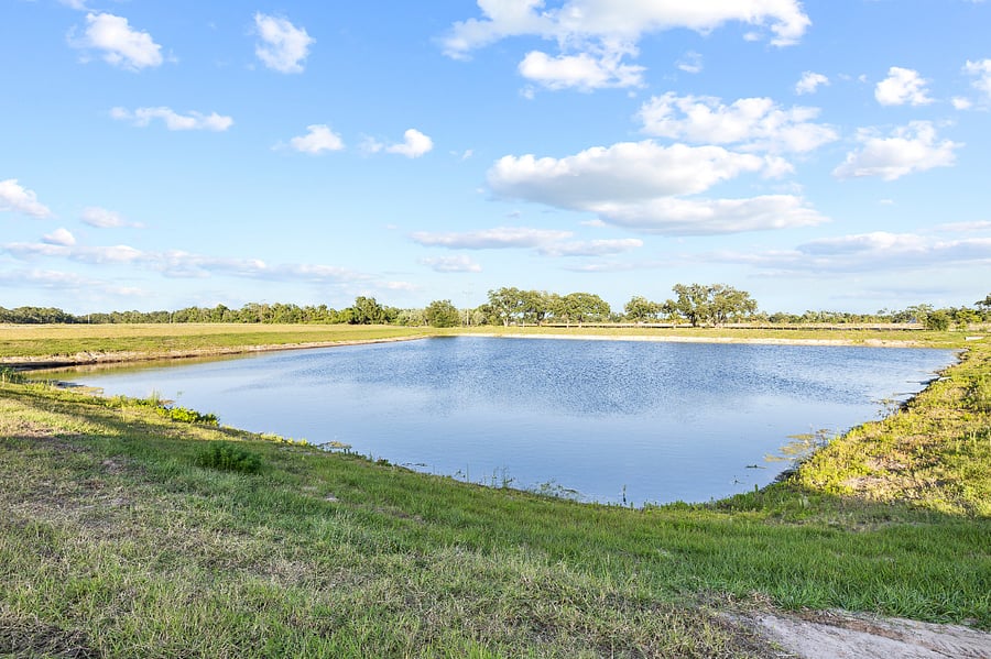 Furnished Finder property 977806_1 photo 29