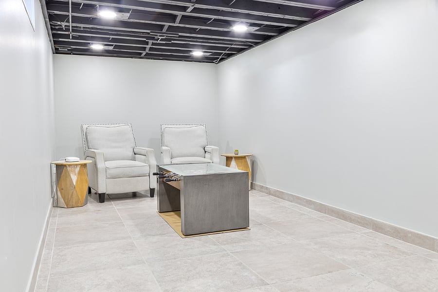 Basement Living Room
