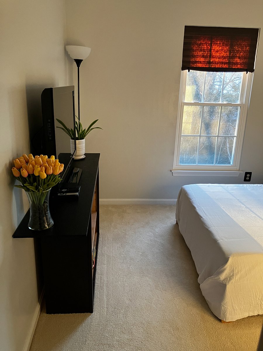 Furnished Finder property 977872_1 photo 9