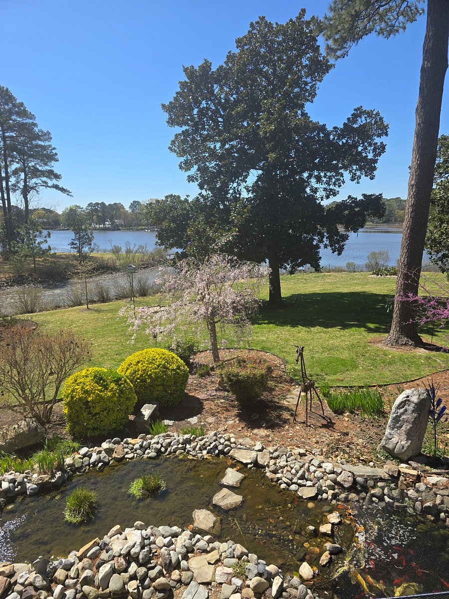 Furnished Finder property 977972_1 photo 9