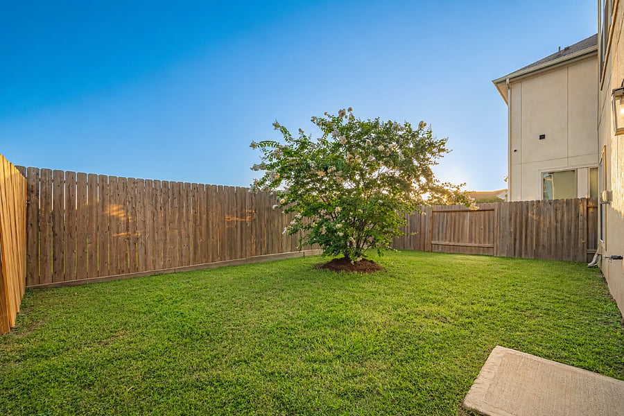 Back Yard