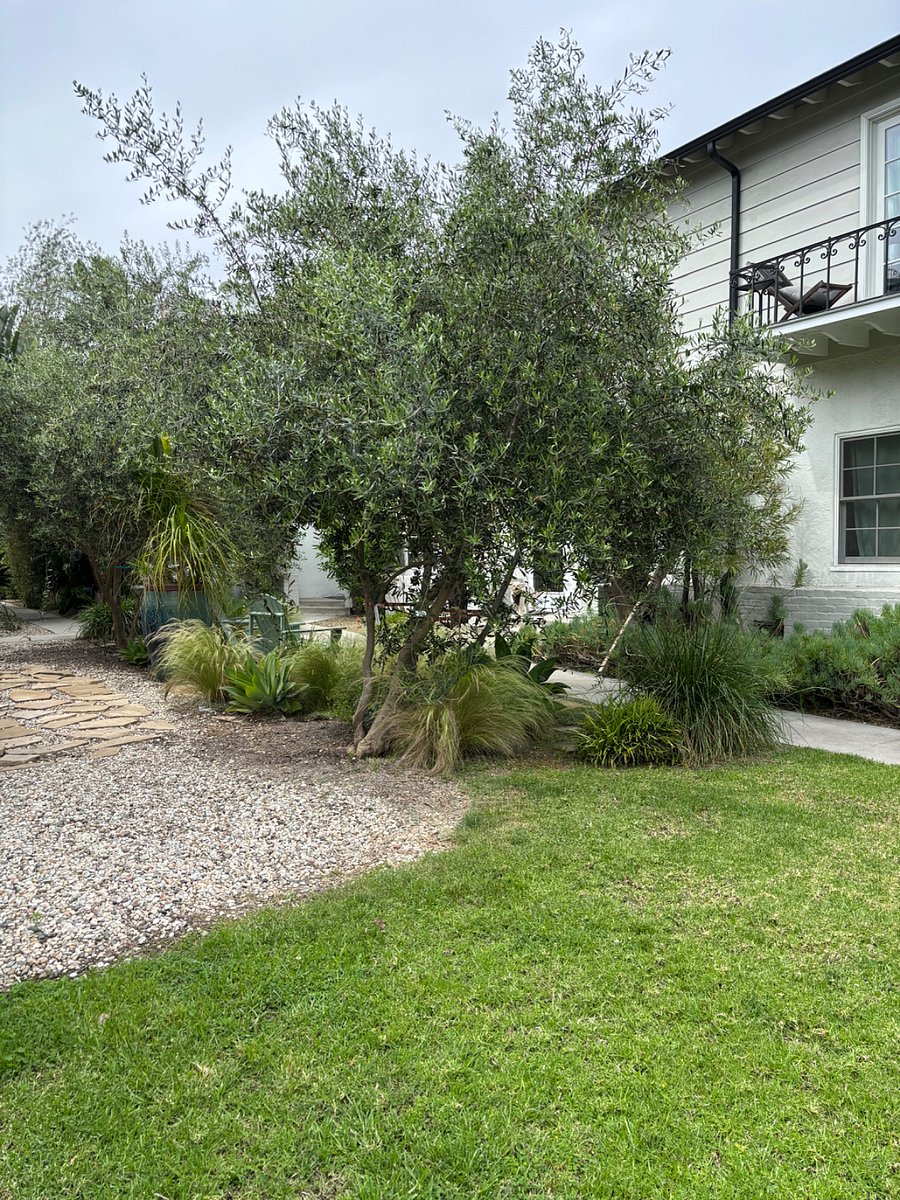 Furnished Finder property 978047_1 photo 13