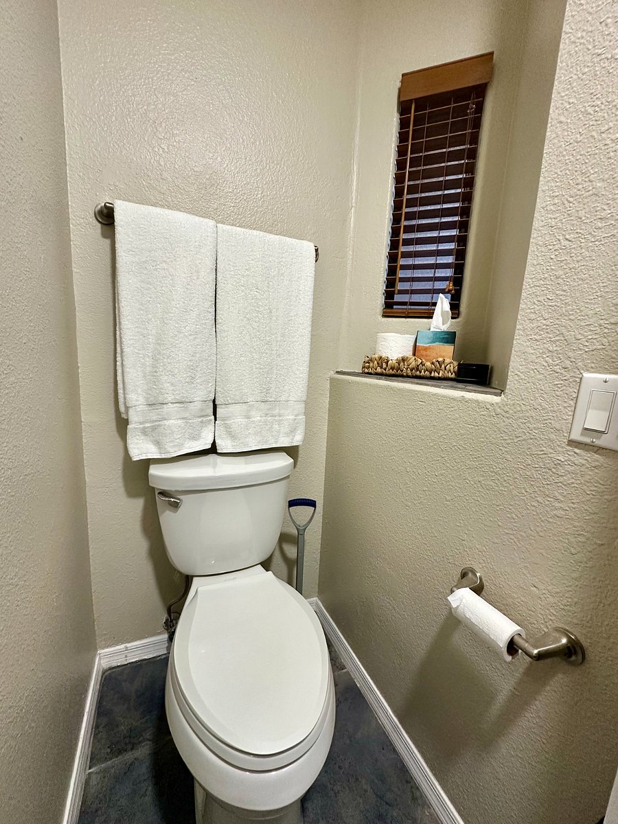 Toilet separate from vanity