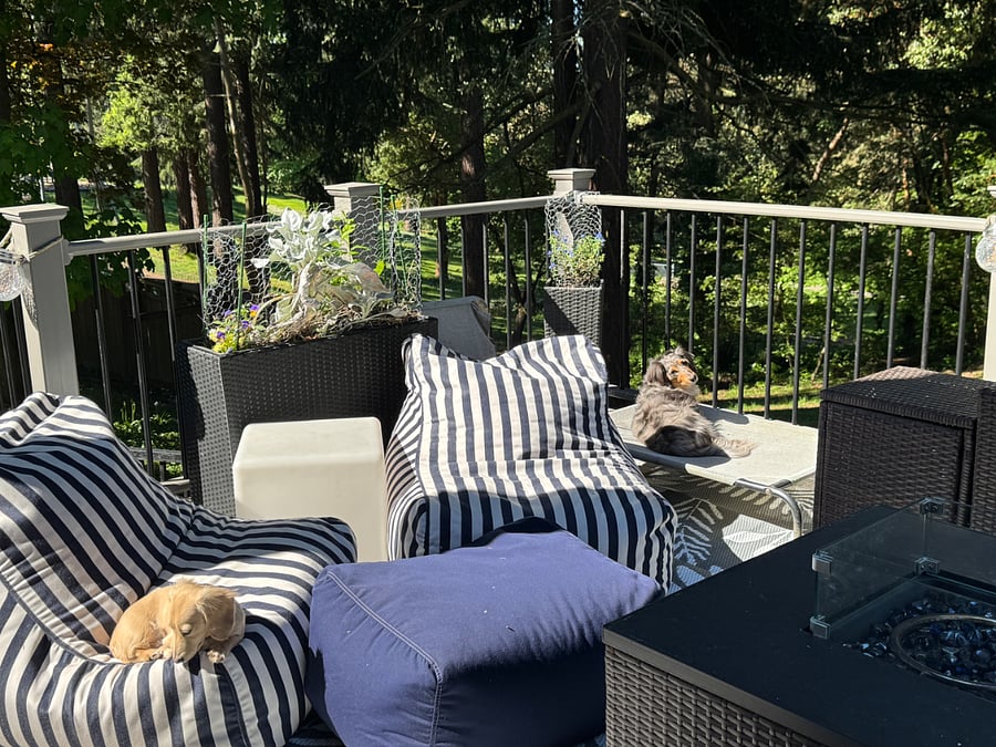 yard with deck and seating