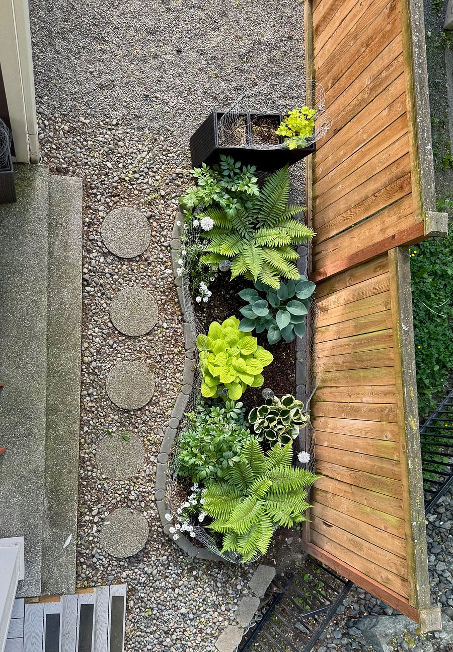 yard
