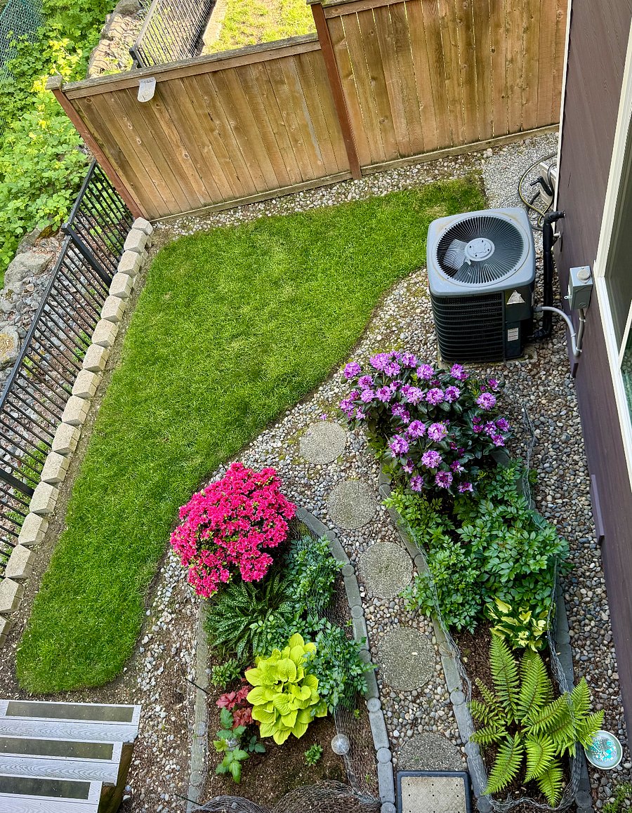 yard