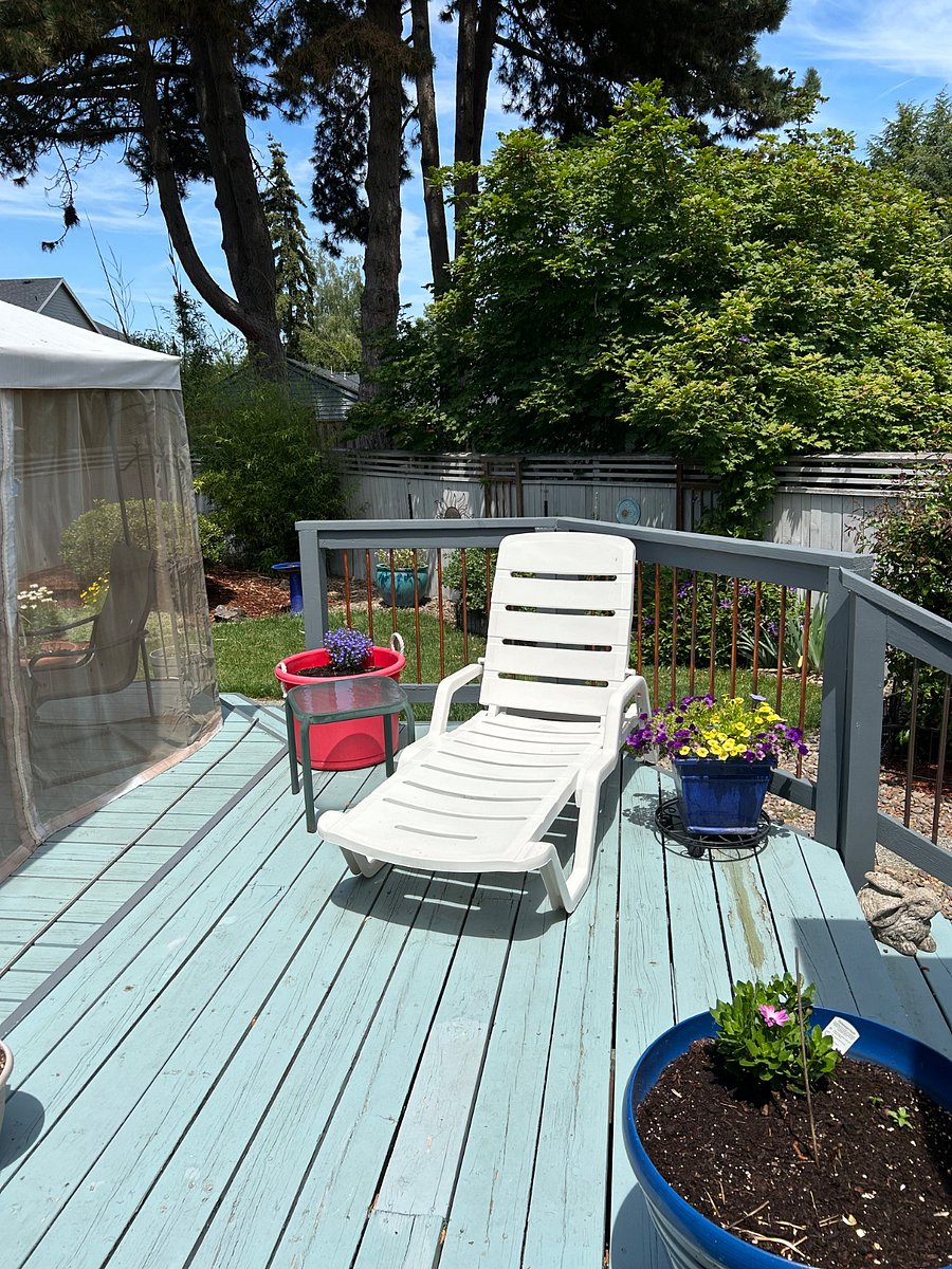 Quiet semi-private back yard - great for yoga or meditation in the morning.