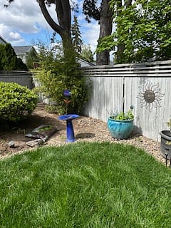 Backyard 3