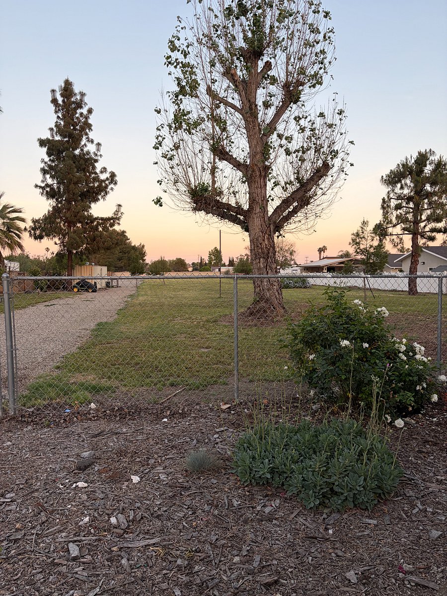 Back yard-view from unit
