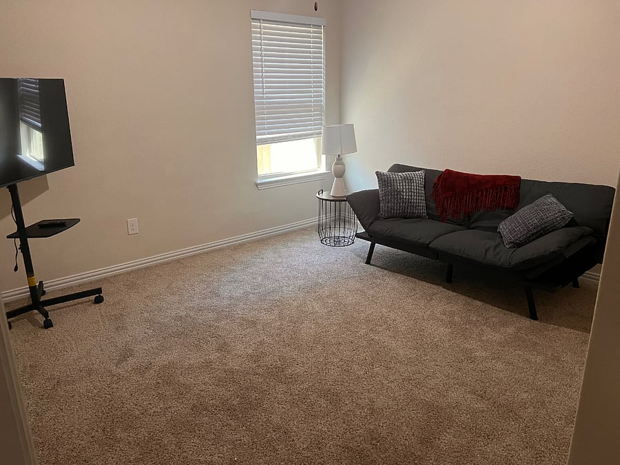 Den with TV and Sofa